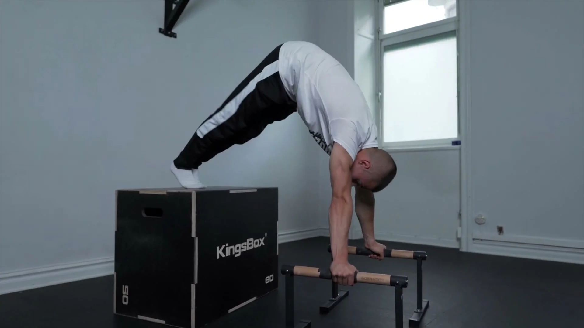 Daniel Hristov performing a planche push-up on parallettes with feet elevated on a plyo box: body in a deep forward lean with head pointing toward the parallettes, demonstrating the fifth and final exercise in the planche hold program